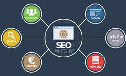 邵阳网站SEO 优化  推广